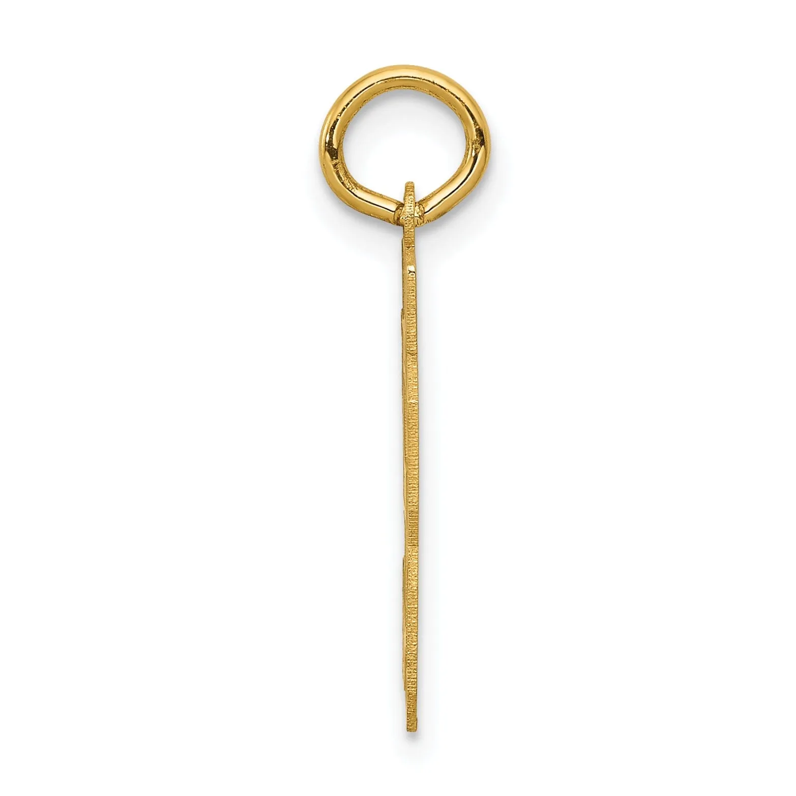 14k Yellow Gold Satin Brush Finish Small Size Number 53 Charm Pendant