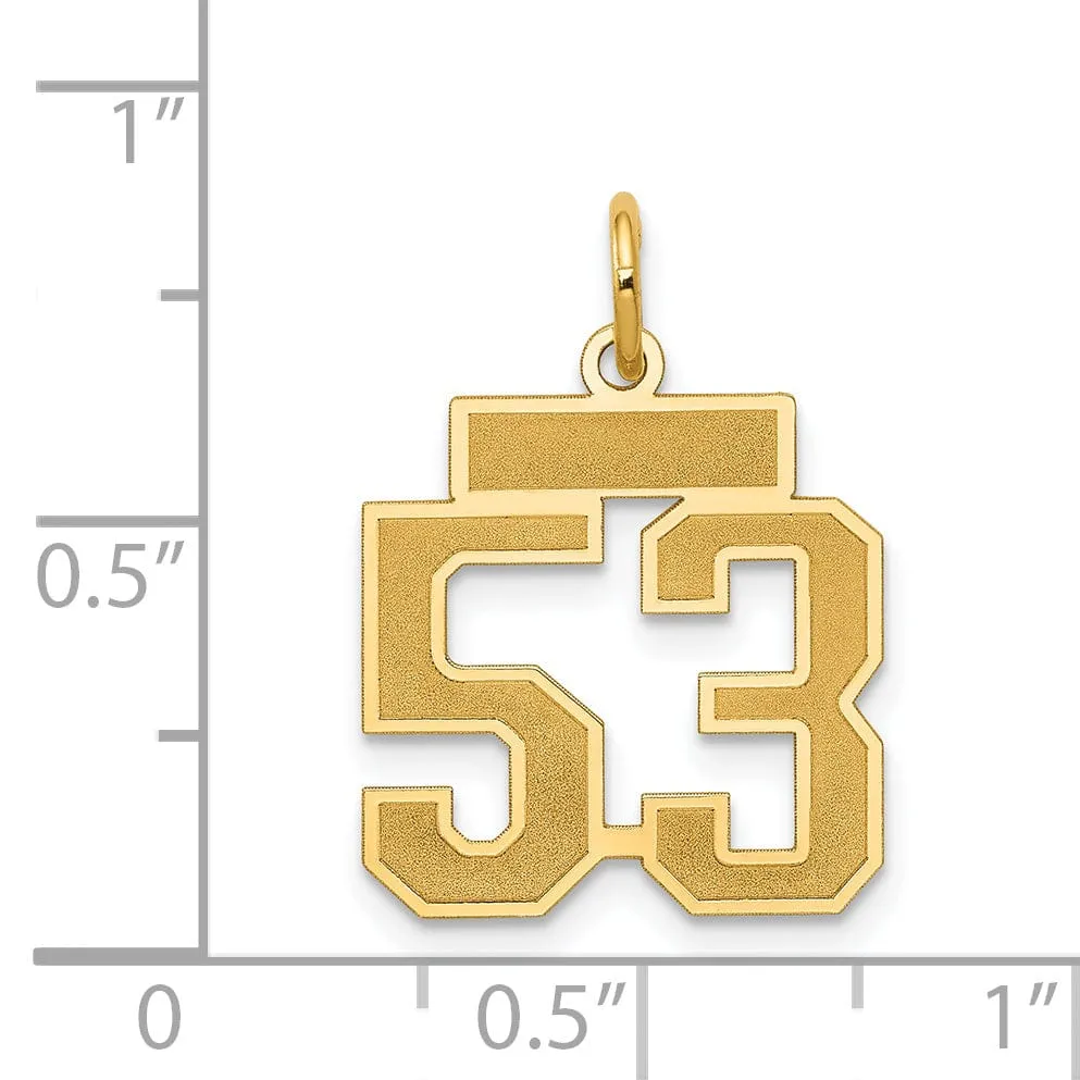 14k Yellow Gold Satin Brush Finish Small Size Number 53 Charm Pendant