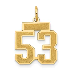 14k Yellow Gold Satin Brush Finish Small Size Number 53 Charm Pendant