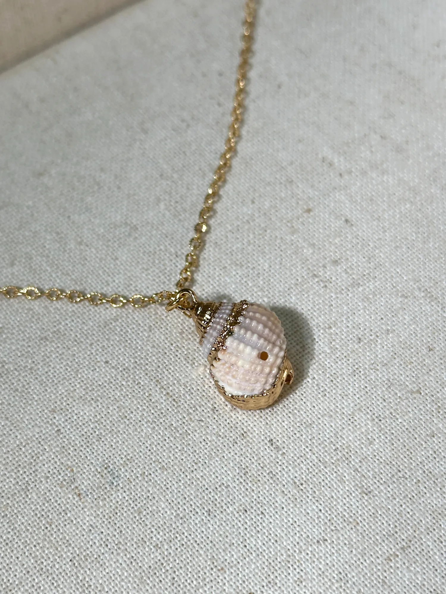 Erica Golden Shell Necklace