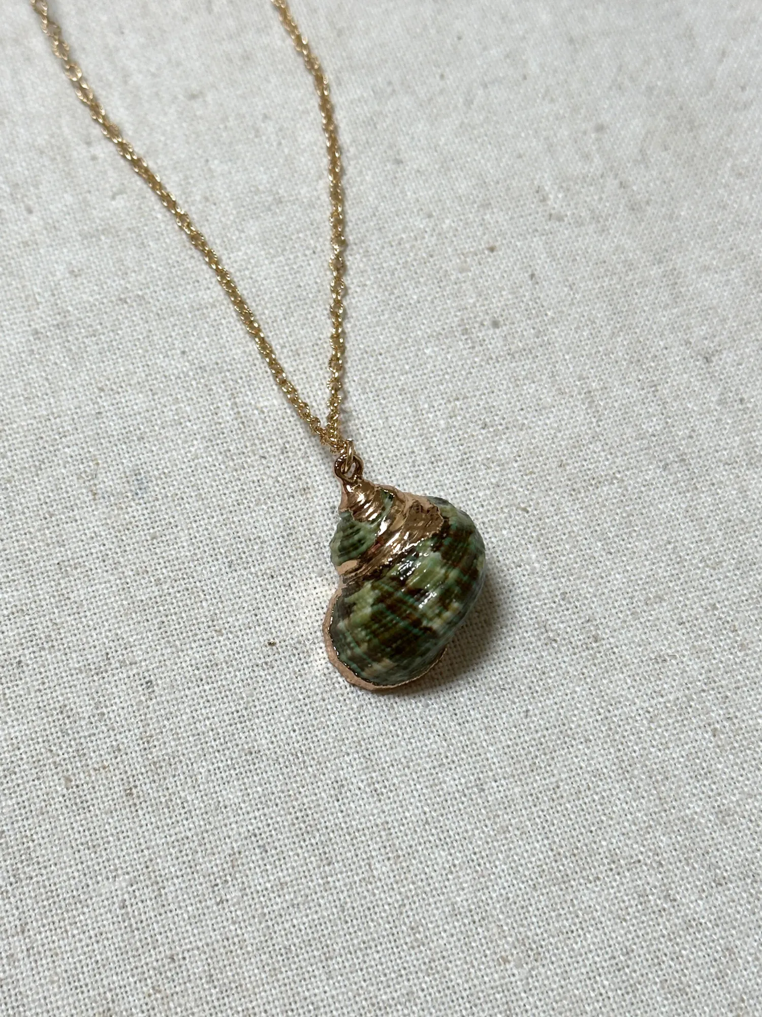 Erica Golden Shell Necklace