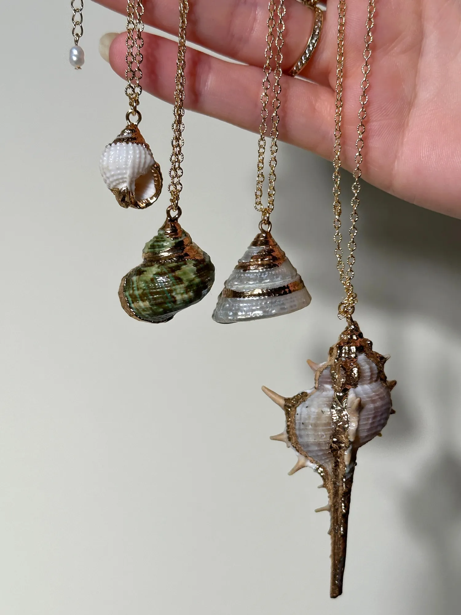 Erica Golden Shell Necklace