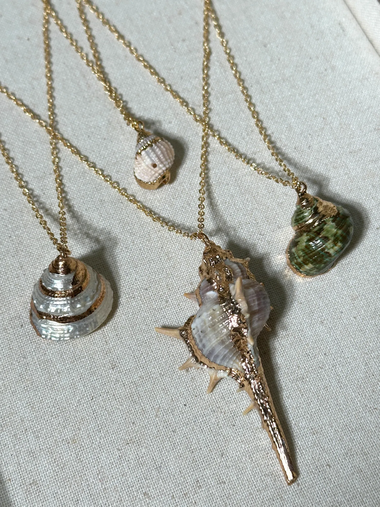 Erica Golden Shell Necklace