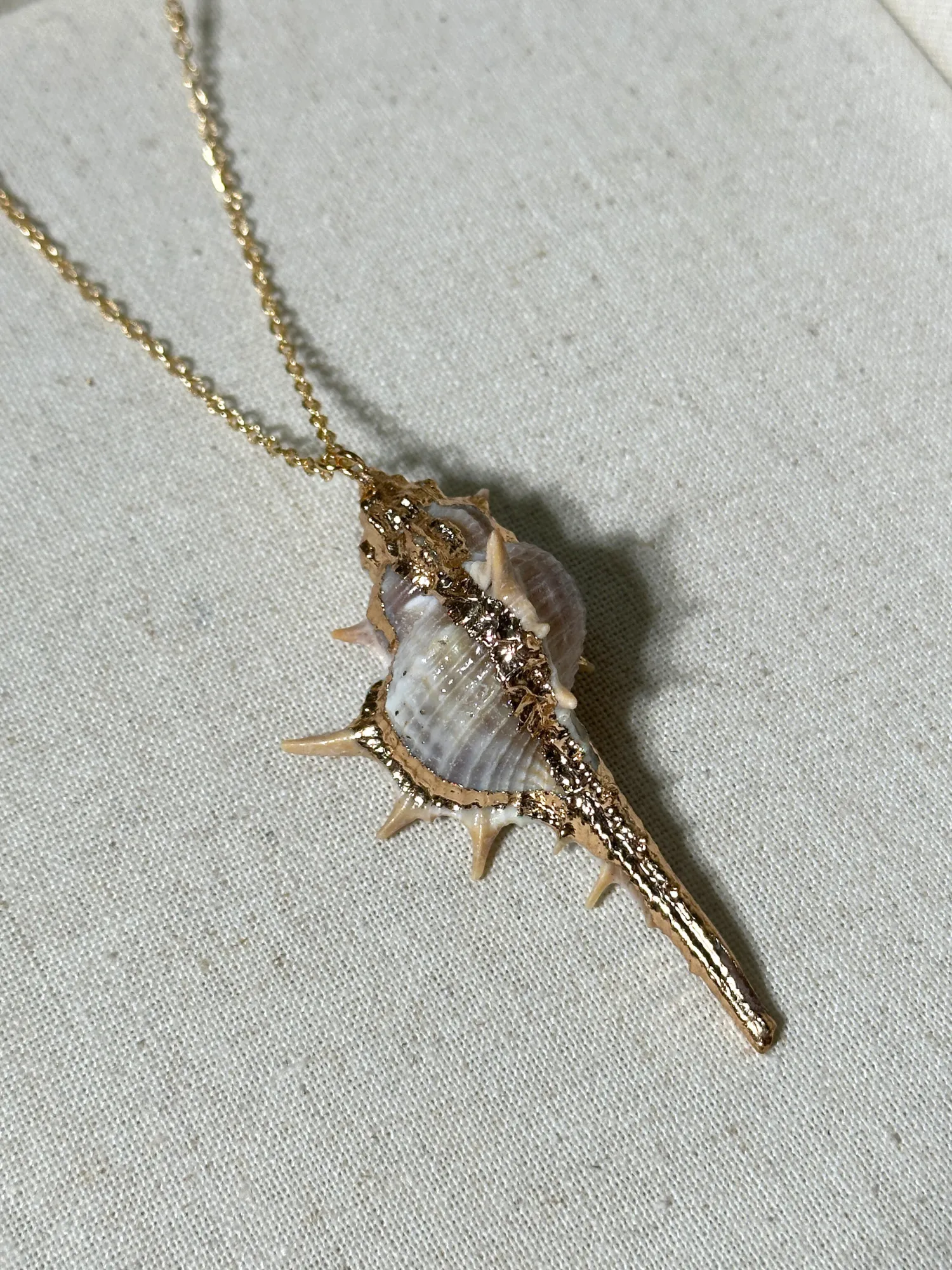 Erica Golden Shell Necklace