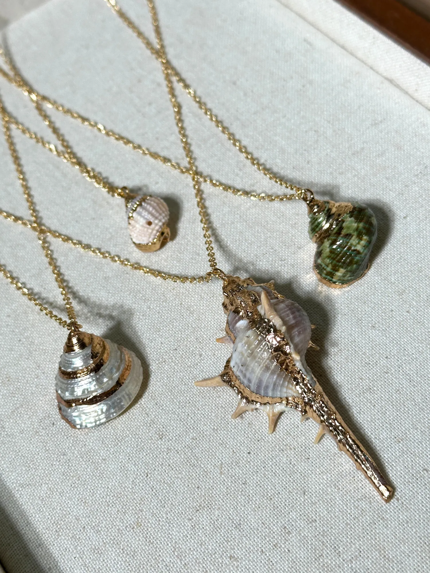 Erica Golden Shell Necklace