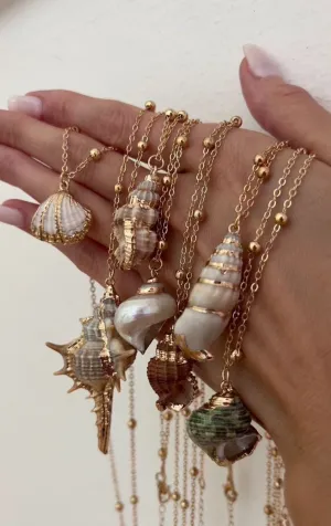 Erica Golden Shell Necklace