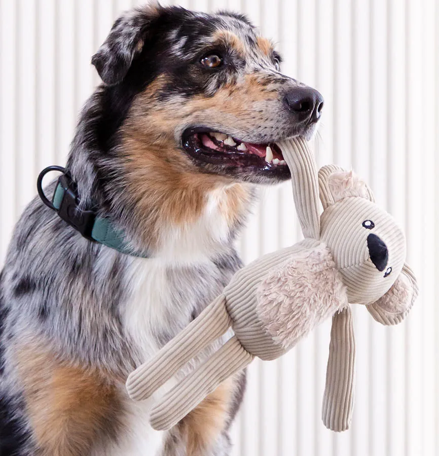 FuzzYard Life Corduroy Cuddler Koala Dog Toy - Sandstone