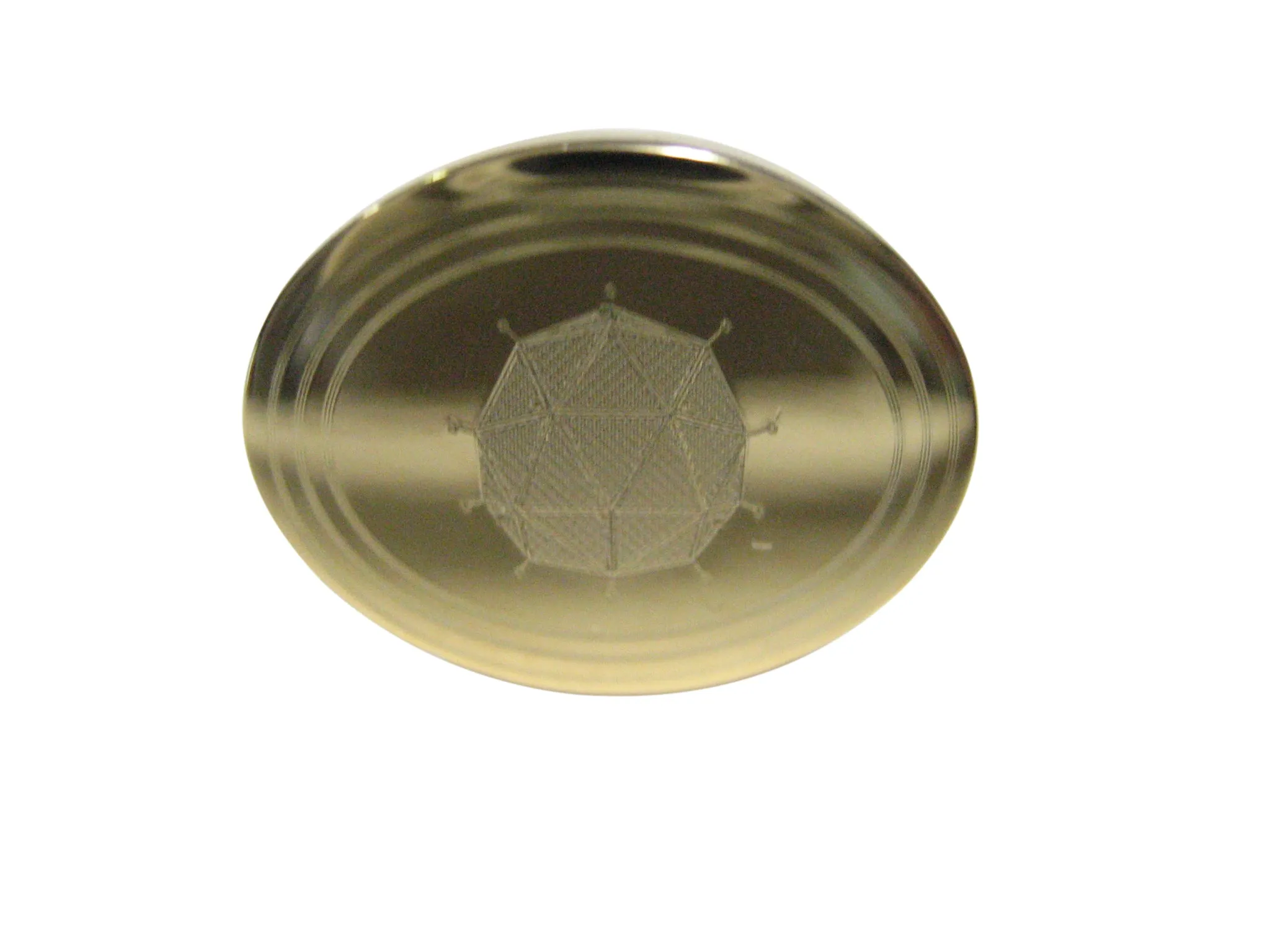 Gold Toned Etched Oval Polyhedral Virus Adjustable Size Fashion Ring