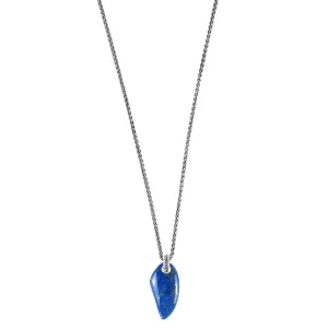 Lapis Gemstone Horn Pendant & Necklace