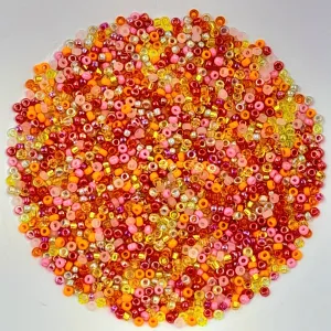 Miyuki Seed Beads Size 11 Tango Mix 7.5gm Bag