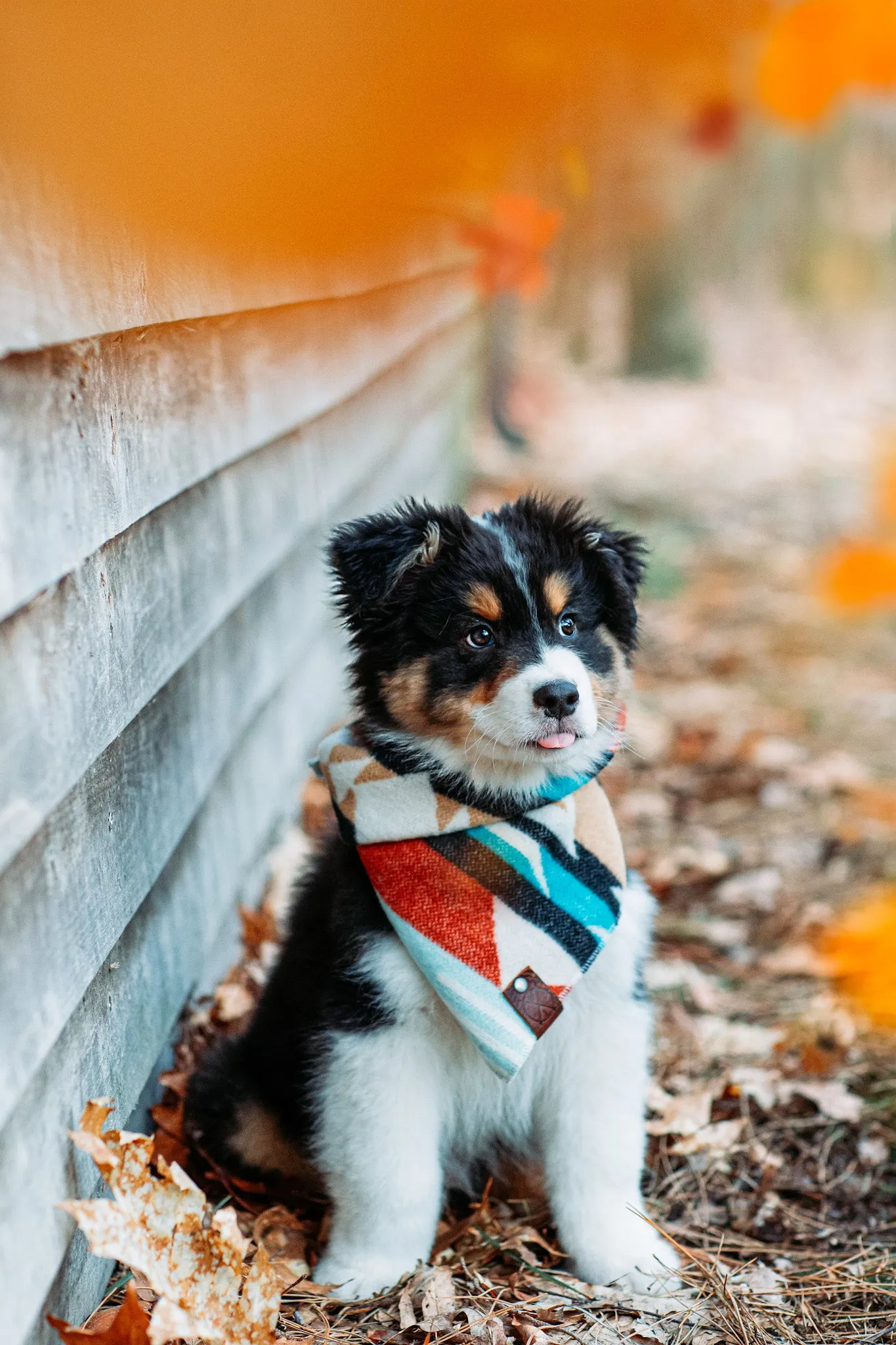 OZARK - Adjustable Dog Bandana