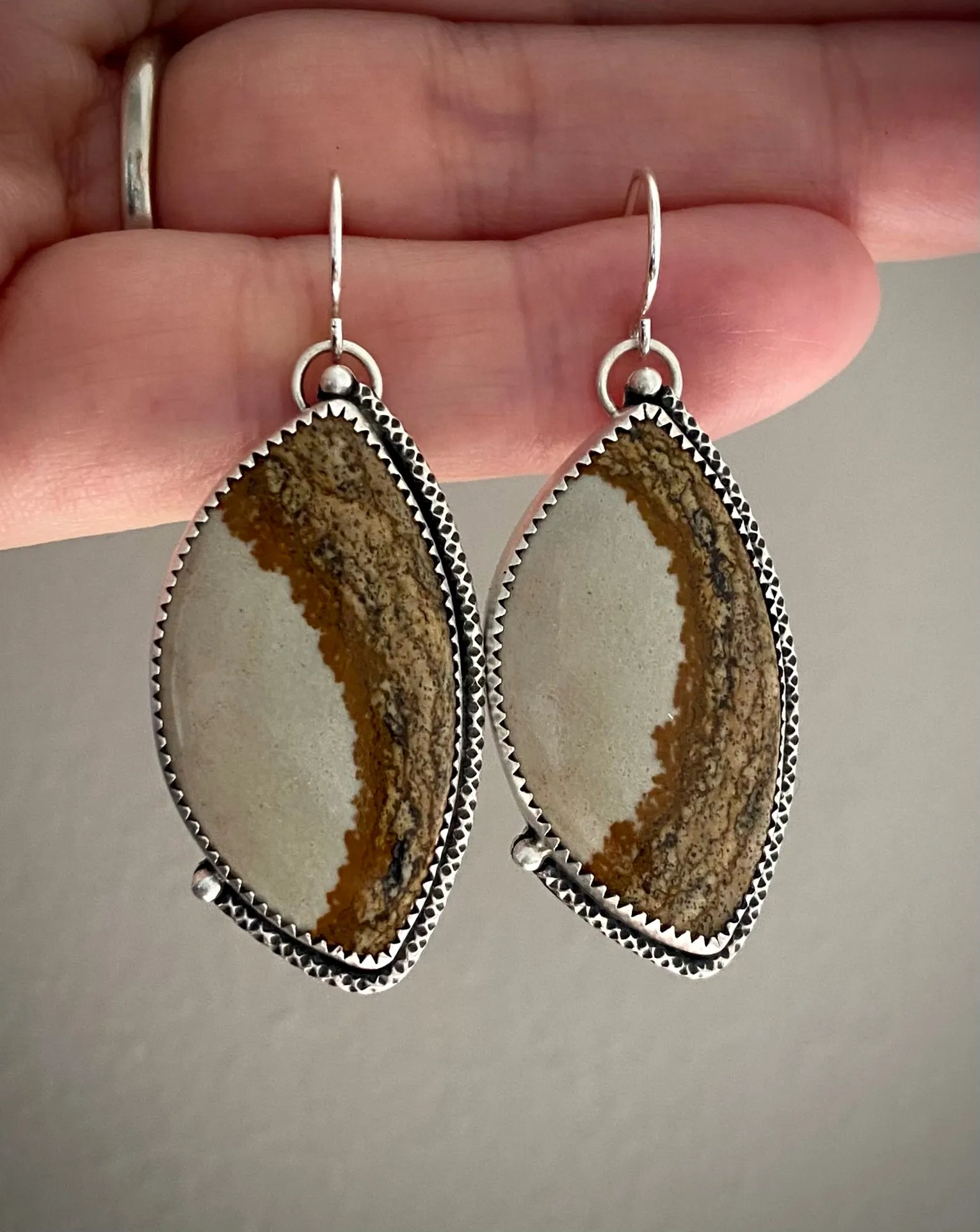 Picture Jasper Earrings