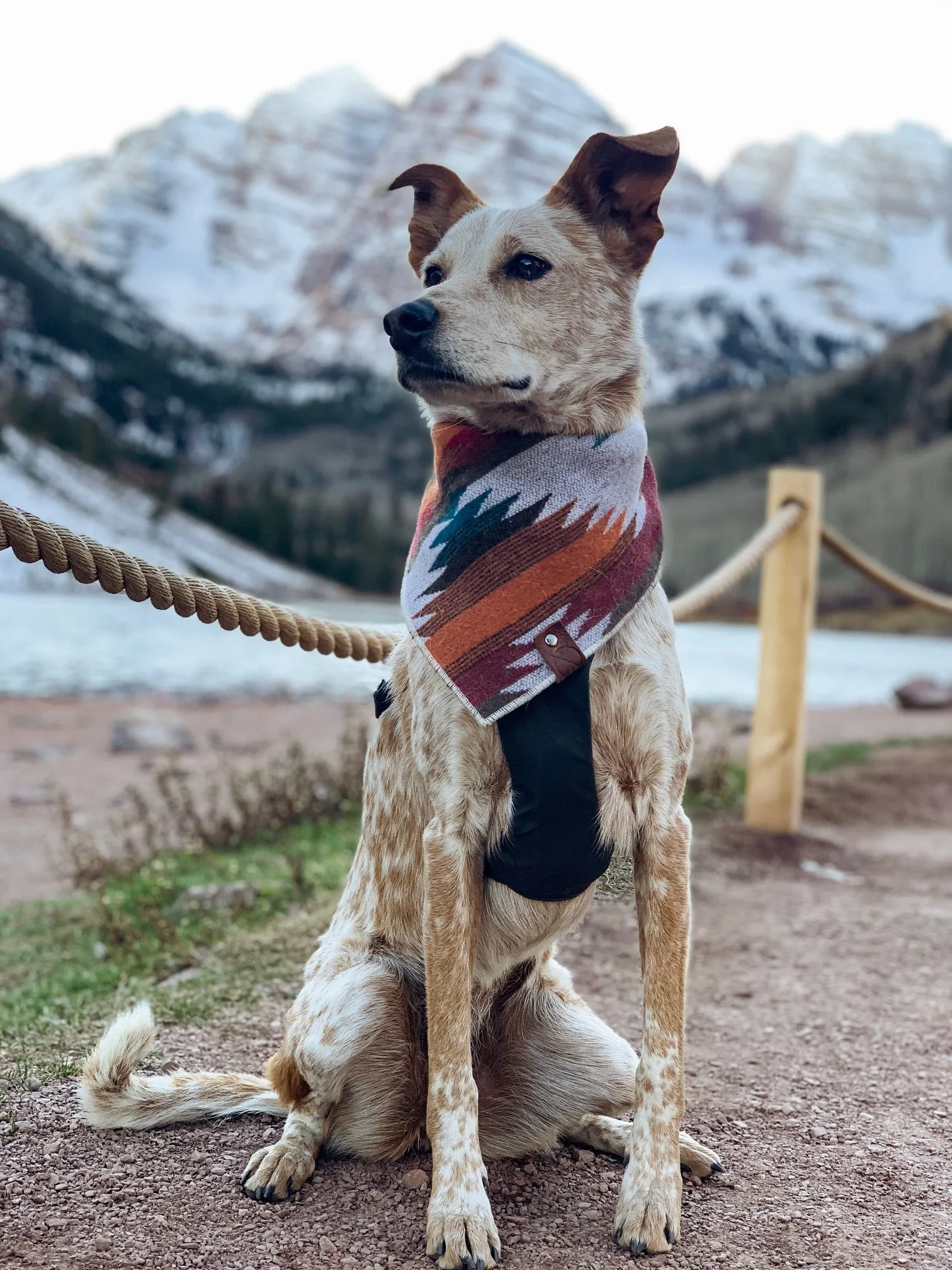SANTA FE - Adjustable Dog Bandana