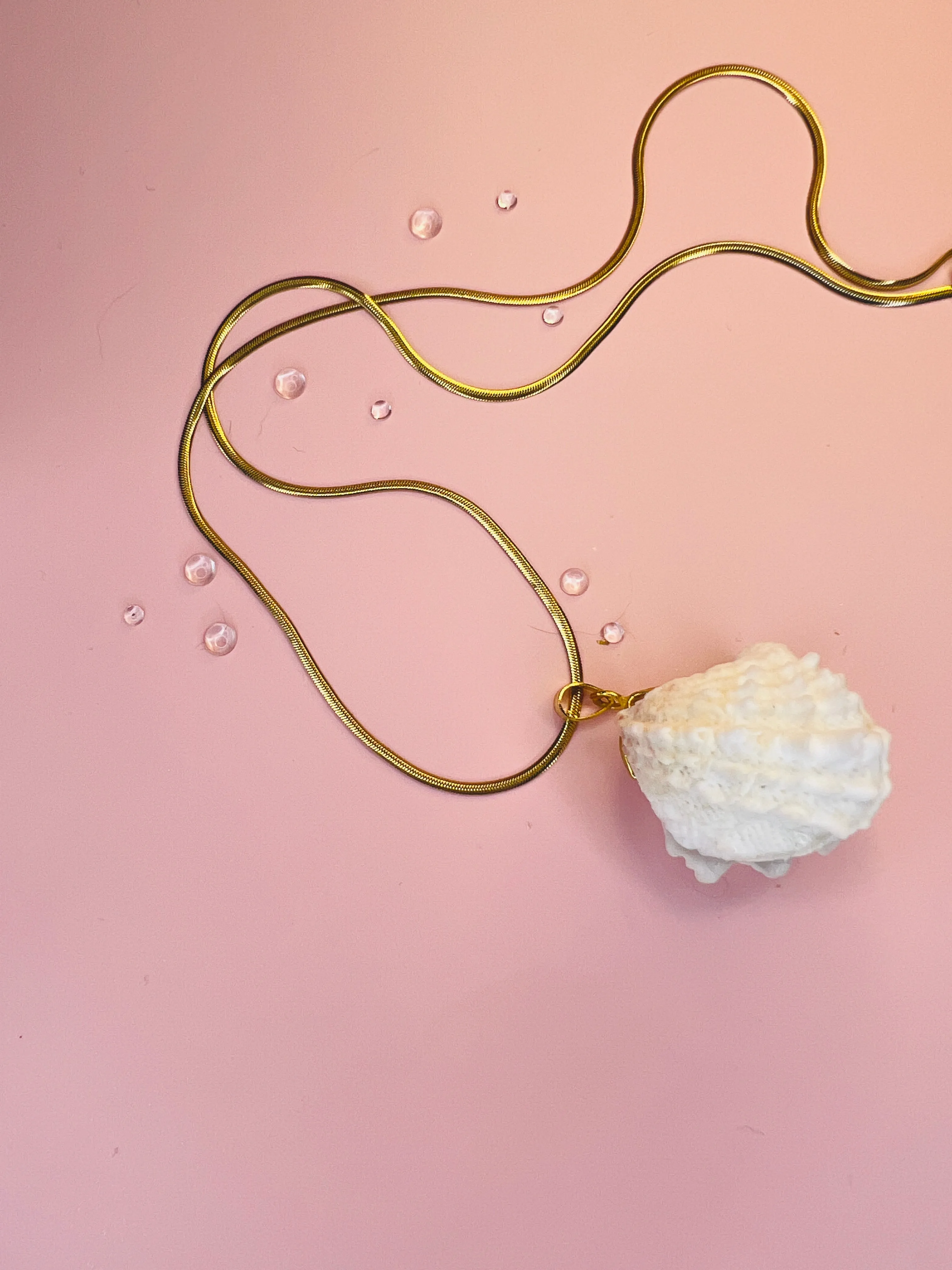 Spiny Jewel Box Pendant Necklace - Pilot