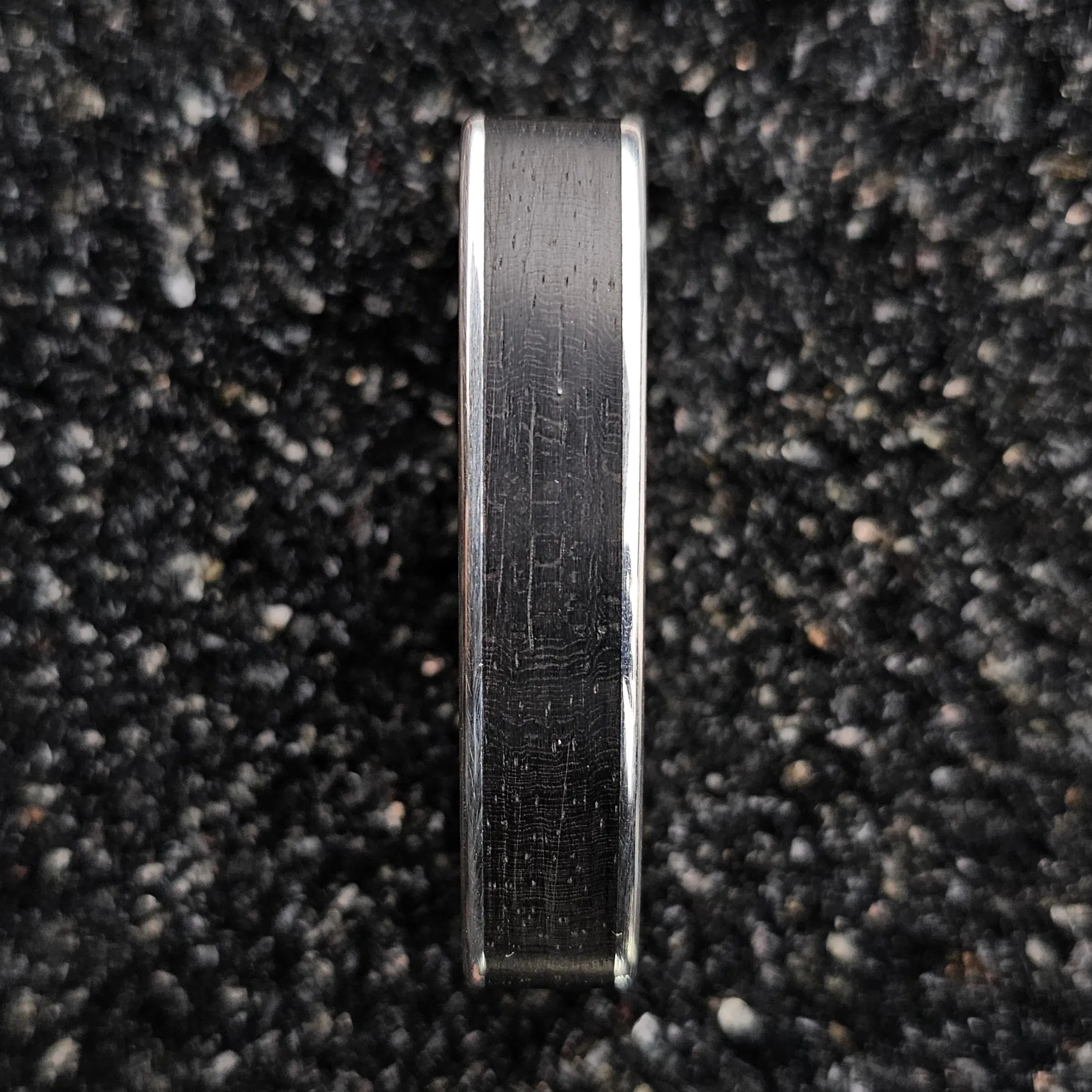 The Horizon (Ebony Wood & Continuum Silver Two Finger Ring)