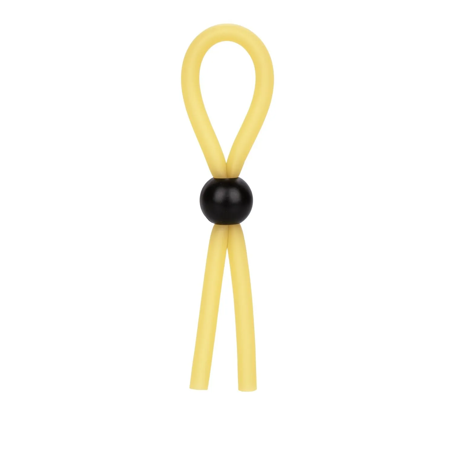 The Lasso