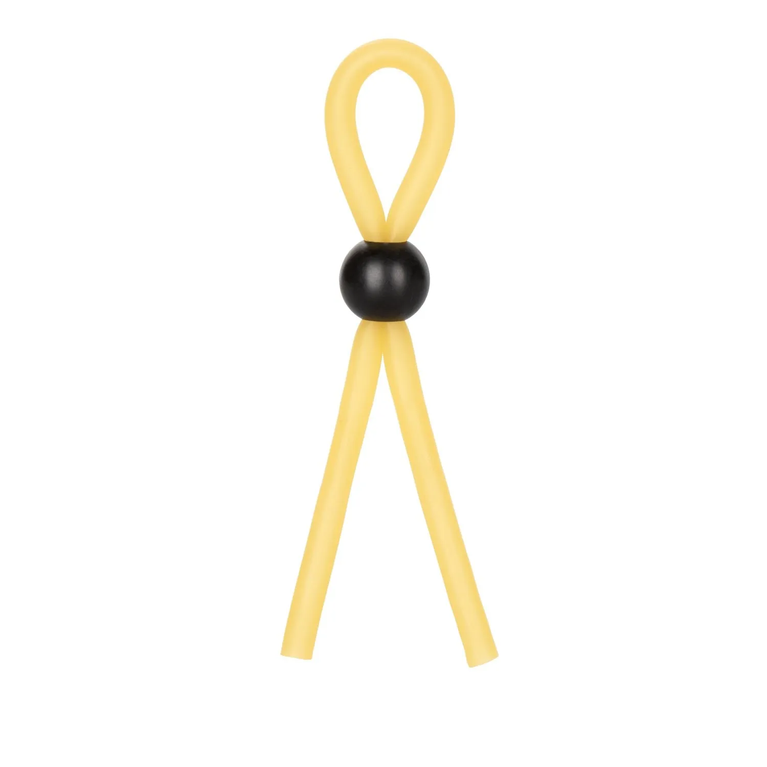The Lasso